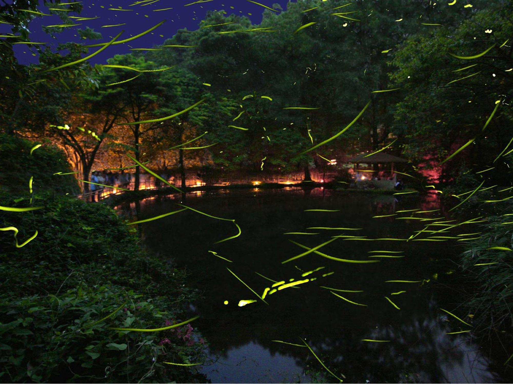 Hotel Izu Katase Onsen Ayumitei Fukumatsuso Higashiizu Exteriér fotografie